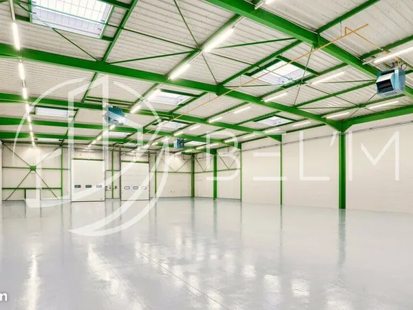 LOCAL D'ACTIVITE 2003 m² SAINT-THIBAULT-DES-VIGNES