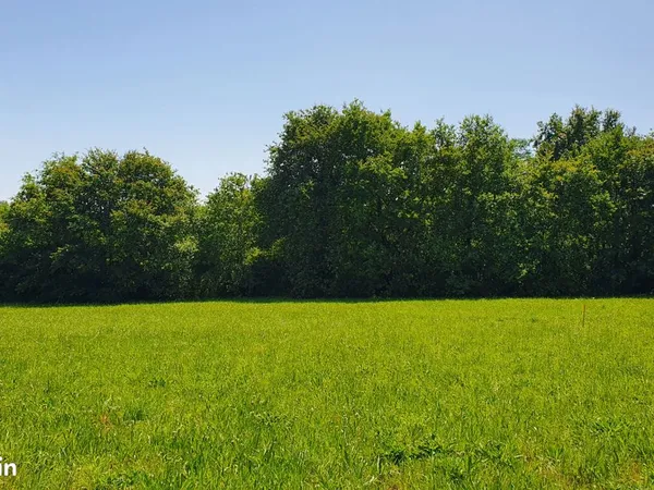 Terrain - reve ou realite