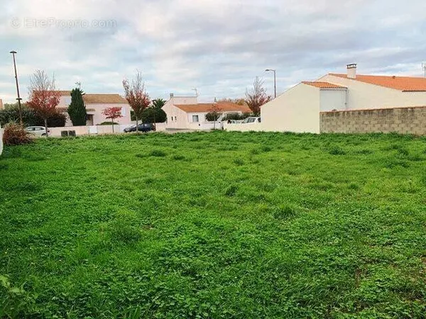 Terrain 600 m²