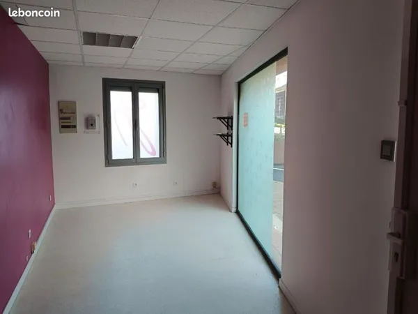 Local professionnel hypercentre