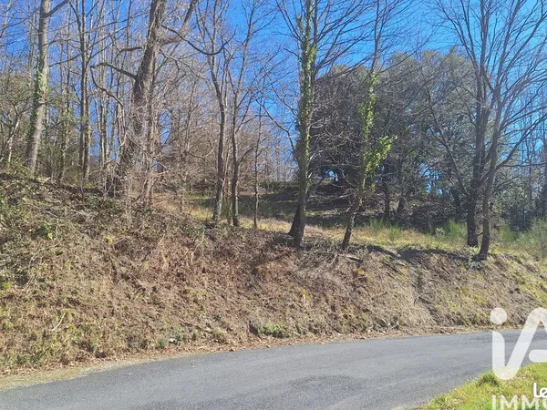 Terrain 24000 m² Montferrer