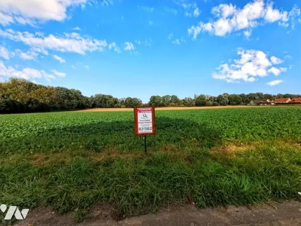 Terrain 733 m²