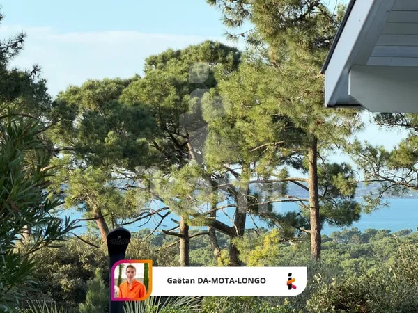 Entre pins et lumière, une maison tournée vers le Bassin