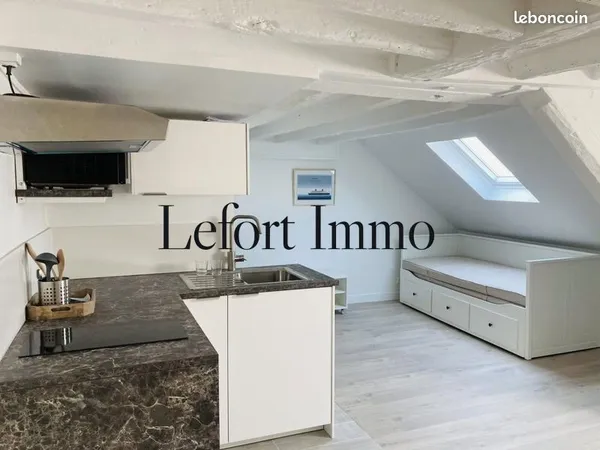 Studio 1 pièce 20 m²