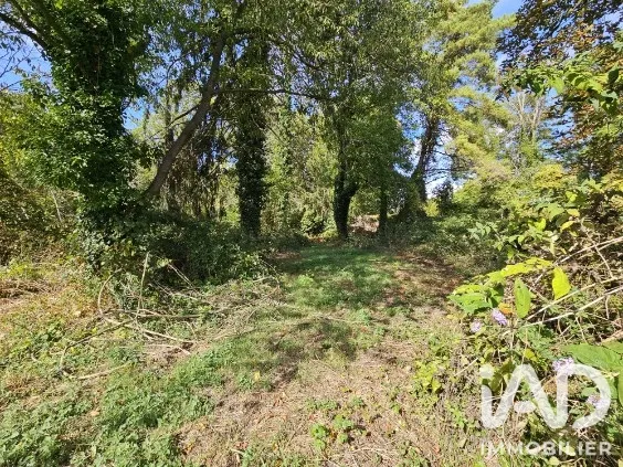 Terrain 990 m²