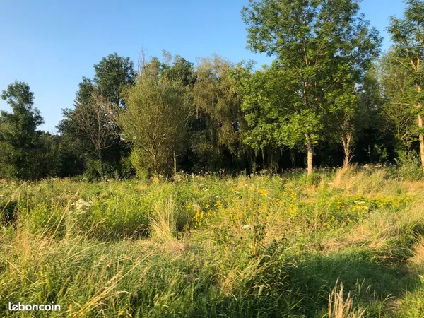 Terrain de 4090m2