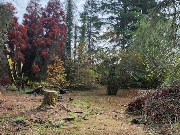 Terrain 1000 m²