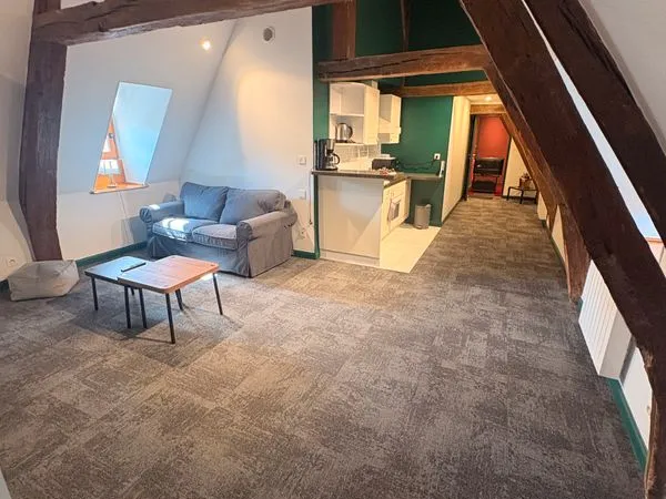 À louer - Type 1 meublé de charme "Les Poutres" - 57 m² (40 m² Loi Carrez) - Hyper centre de Saint-Q