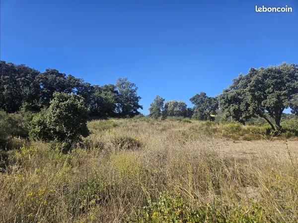Estagel - Lot 7 de 307 m² - Terrain à bâtir à 78 285