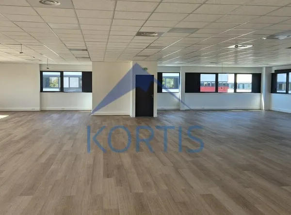 Local professionnel 729 m²