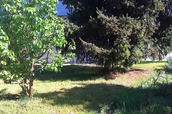 Terrain 361 m²