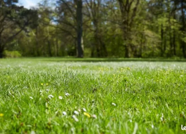 Terrain 721 m² Beuvry La Foret