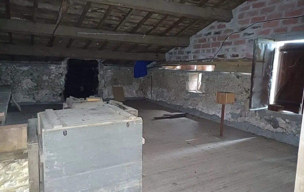 Photo 3