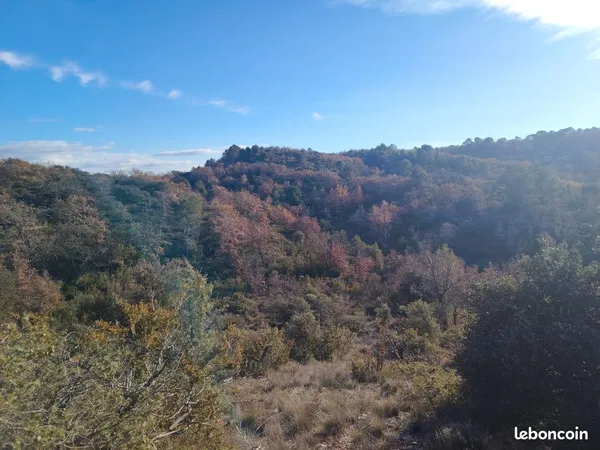 Vente de terrain