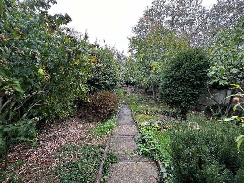 Photo 15