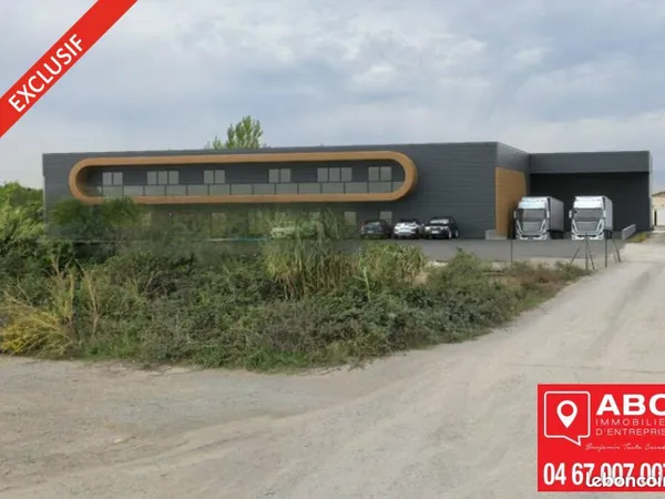 LOCAL D'ACTIVITE 610 m² VENDARGUES