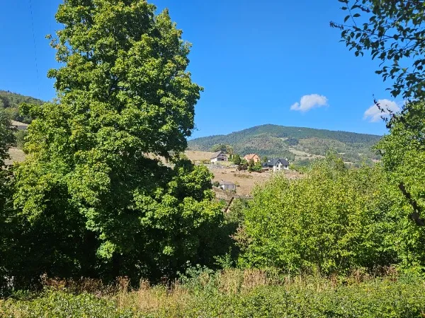 Terrain de 12.58 ares à LAPOUTROIE