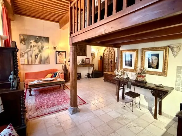 Rare vieux Lyon appartement