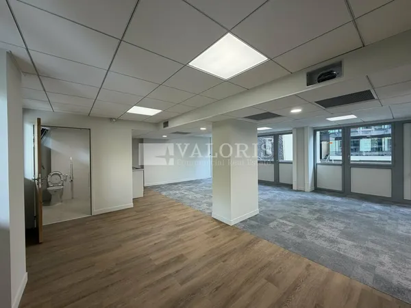 Local professionnel 387 m²