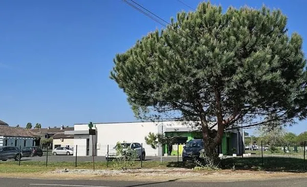 Local 1 pièce 262 m²