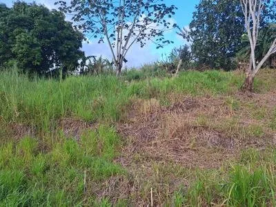 SAINT ESPRIT BEAU TERRAIN 700m² VUE CAMPAGNE DEGAGEE