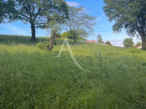 Terrain 2981 m² ALBI