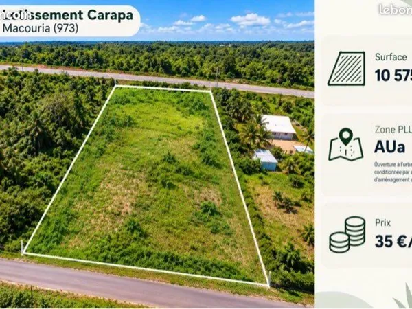 Terrain double accès routier carapa 1 hectare