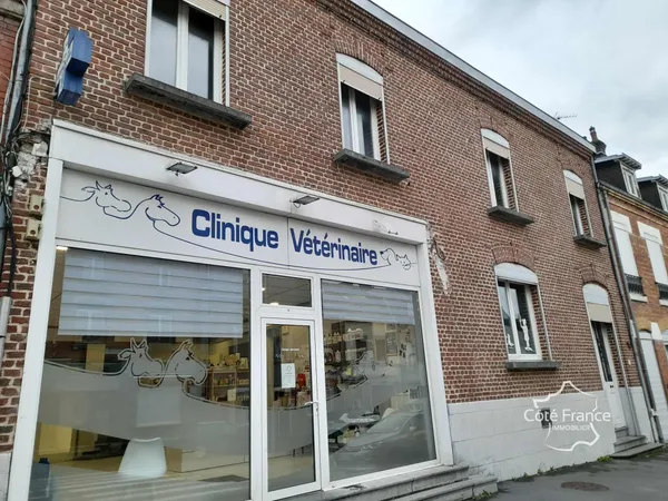 Immeuble 385 m²