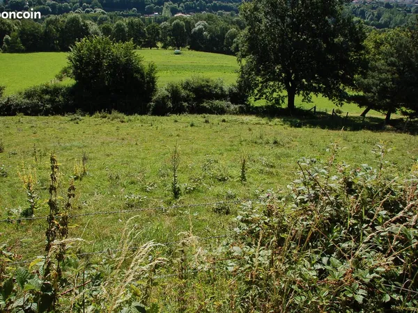 Terrain constructible - arlanc (63)