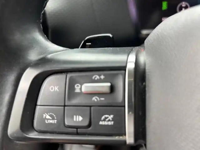 Citroën C4 bluehdi 130 s&amp;s eat8 — photo 23