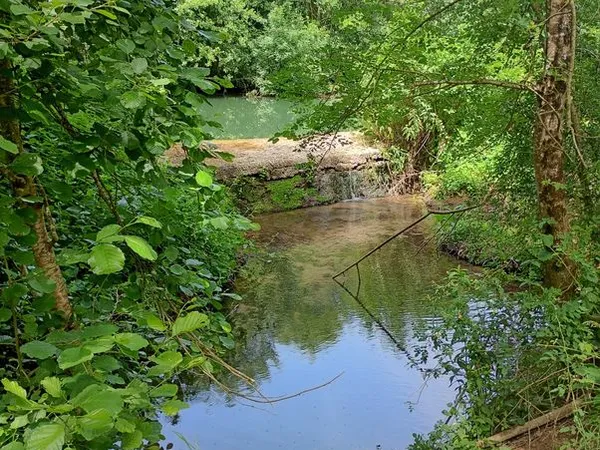 Vds terrain potager