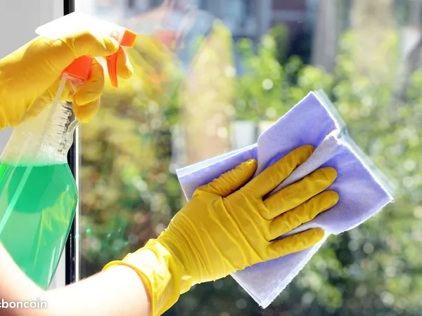 Entreprise lavage de vitres