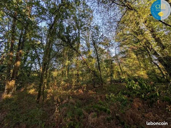 Terrain 9420 m² Guer