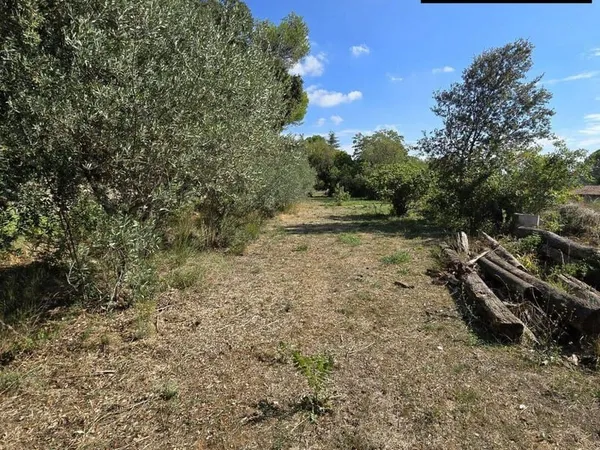 Terrain 3915 m²