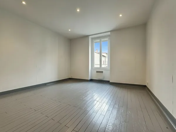Appartement Lyon Studio 41 m2
