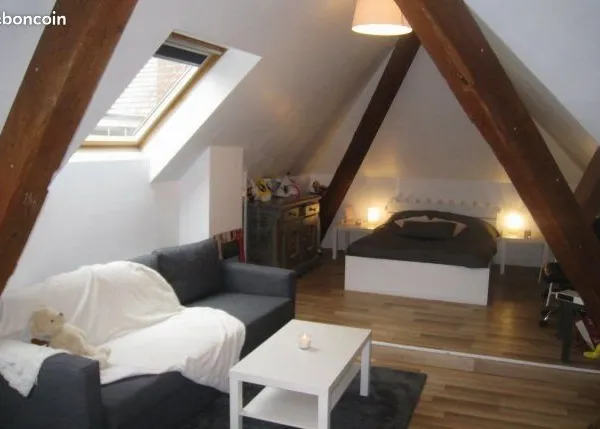 Studio 1 pièce 45 m²