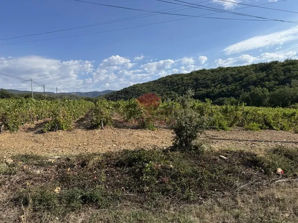 A VENDRE TERRAIN CONSTRUCTIBLE COMMUNE DU BOSC