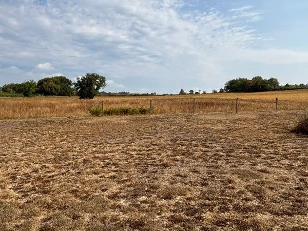 UN CADRE RARE - TERRAIN CONSTRUCTIBLE 1 500 m² - SAINT-DENIS (30)