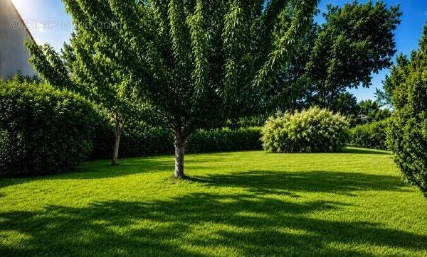 Terrain 349 m²