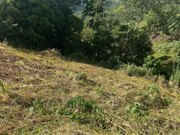 Terrain constructible 800 m²