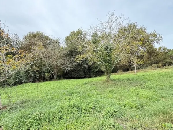 Terrain 1345 m²