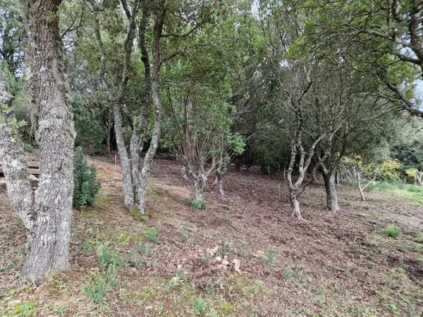 Terrain 871 m²