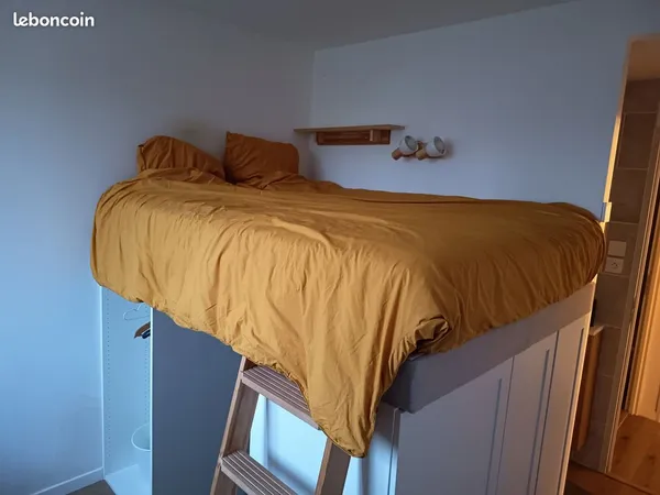 Chambre avec SDB privative dans grande colcoation