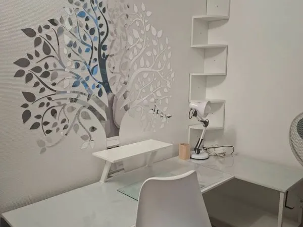 Chambre meublée étudiante chez l'habitante lyon 5