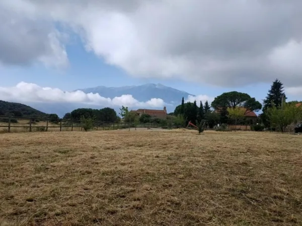 Terrain 1000 m²