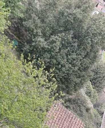 Terrains Landes avec mazet en pierres
