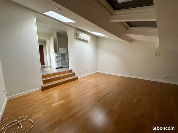 Duplex 1 pièce 41 m²