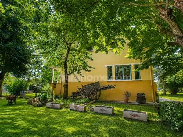 MURET-OX - PROPRIÉTÉ DE CARACTÈRE DES ANNÉES 30 - 230 m² - PARC ARBORÉ DE 4 707 m² - DÉPENDANCES - C