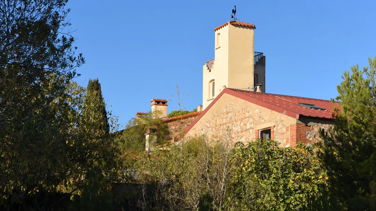 Photo 16