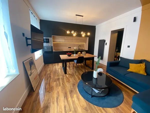 Appartement 37 m2 Rénové
